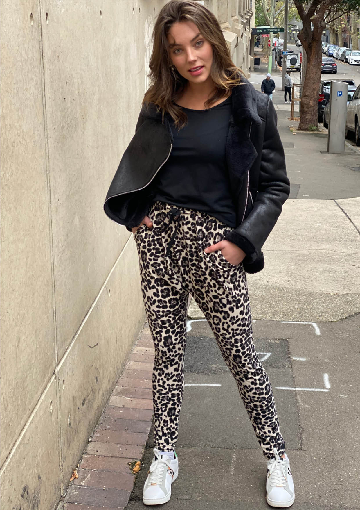 TG0533-75SS Leopard Print Lounge Pants (Pack)