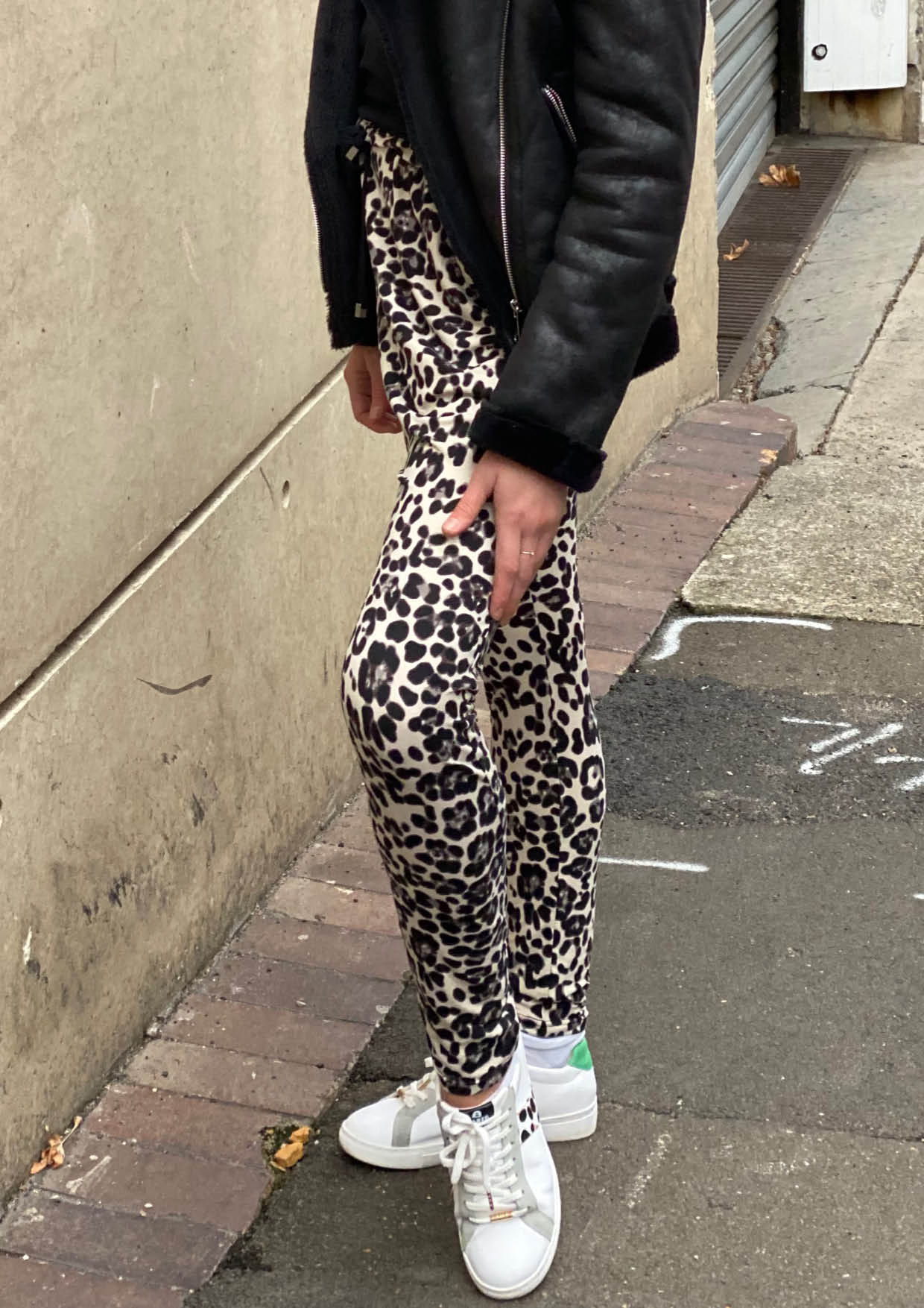 TG0533-75SS Leopard Print Lounge Pants (Pack)