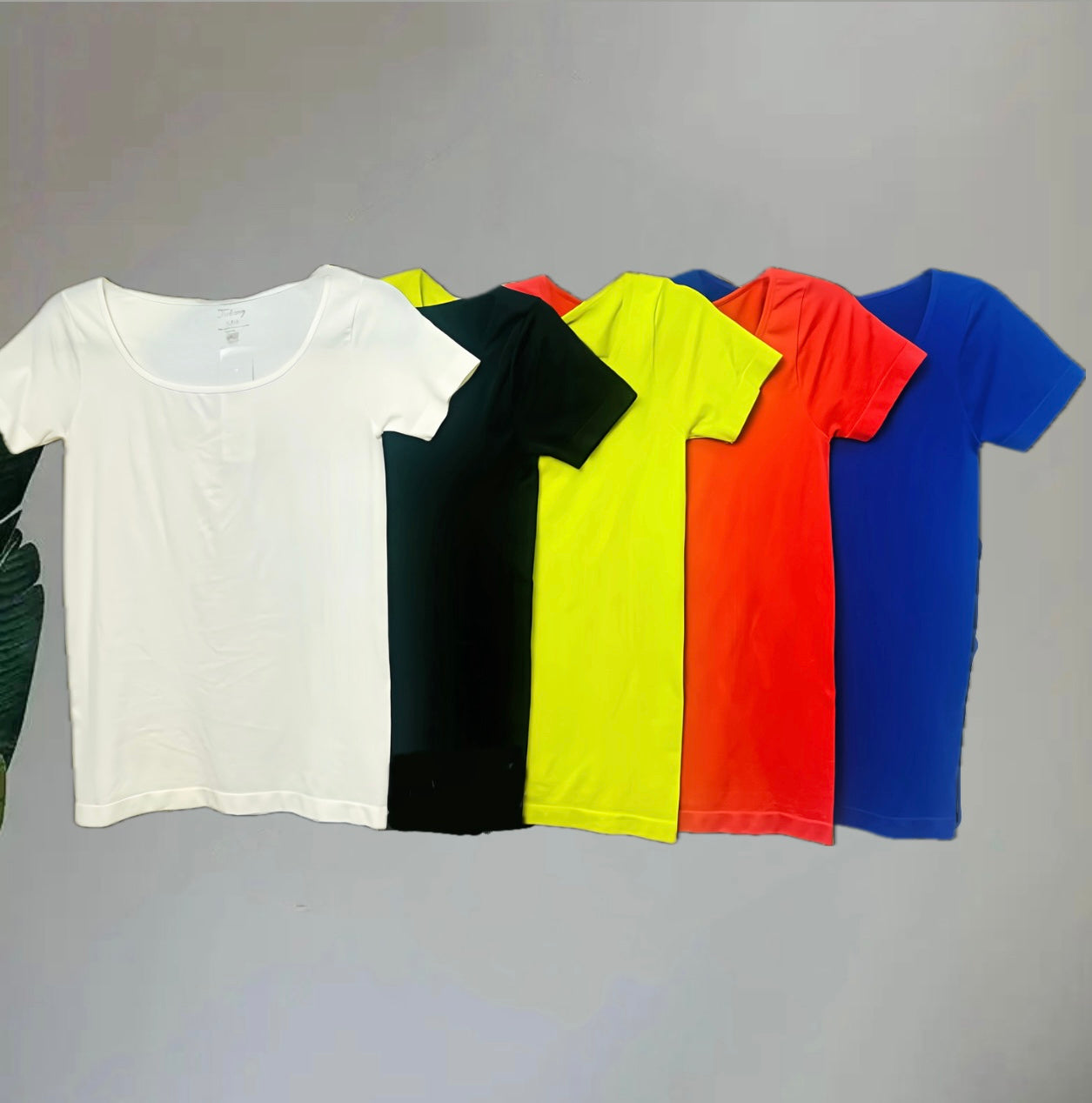 T6460TB Short Sleeve Cotton Seamless Top (2 Pack) at one pack price