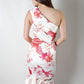 RV1023-4TB High Neck Printed Dress(Pack)